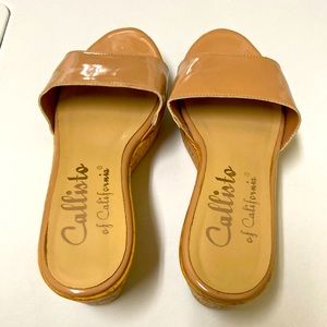 Beautiful patent nude slides.